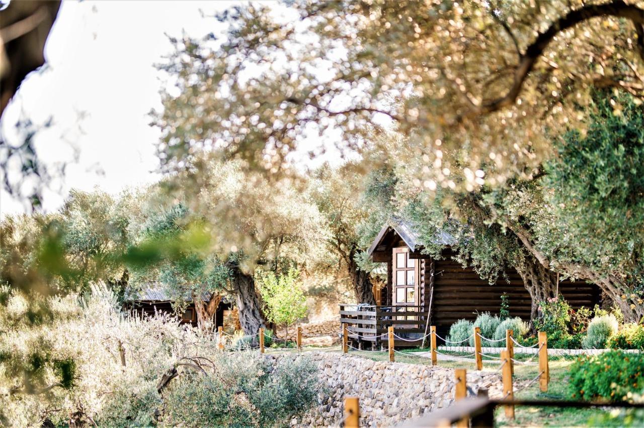Holiday Park Olive Tree Ulcinj Exteriör bild